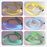 Dog LED Lighted 4-Foot Leash (5 Colors)