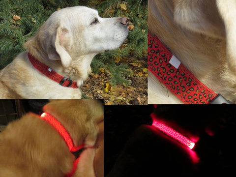 Dog LED Lighted Leopard Print Collar (6 Colors)