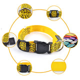 Dog LED Lighted Leopard Print Collar (6 Colors)