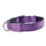 Dog LED Lighted Leopard Print Collar (6 Colors)