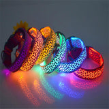 Dog LED Lighted Leopard Print Collar (6 Colors)