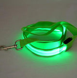 Dog LED Lighted 4-Foot Leash (5 Colors)