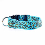 Dog LED Lighted Leopard Print Collar (6 Colors)