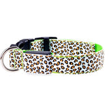 Dog LED Lighted Leopard Print Collar (6 Colors)